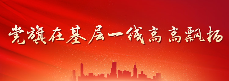 党旗在基层一线高高飘扬专题