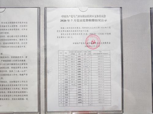 富民社区党支部七月党费收缴明细